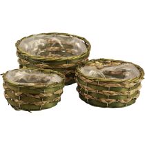Cesto macetero trenzado verde 30×24/26×20/22×15cm juego de 3