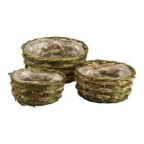 Cesta macetero redonda trenzada madera verde Ø26/21/18cm juego de 3