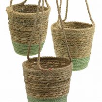 Artículo Cesta colgante, cesta natural, macetero para colgar natural, verde Ø19/17/15cm juego de 3