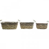 Artículo Cesta para plantas con asas, cuenco de cesta cuadrado, macetero natural para plantar shabby chic blanco lavado L30/25,5/21 cm H12/11/10 cm juego de 3