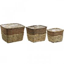 Artículo Cesta de plantas, recipiente natural para plantar, cuenco de flores cuadrado natural L29,5/26/23cm H21/19/16cm juego de 3