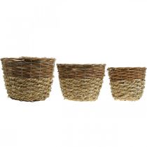 Artículo Juego de 3 cestas de mimbre natural, cestas redondas para plantar, maceteros decorativos Ø27/25/20cm, mimbre rústico