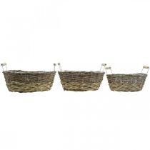 Artículo Cesta natural para plantar, cesta con asas, macetero shabby chic blanco lavado L31/27,5/24cm H12/11,5/10cm juego de 3