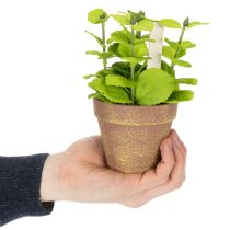 Artículo Maceta artificial con hierbas decorativas para cocina, jardín, balcón o terraza, 15m³, 3 piezas