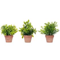 Artículo Planta artificial en maceta con textura realista para uso interior y decoración, 18cm, 3 piezas