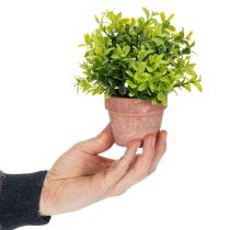 Artículo Planta artificial en maceta con textura realista para uso interior y decoración, 18cm, 3 piezas