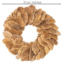 Artículo Corona de hongos de árbol, color natural, para decoración de puertas o paredes, 37 cm.