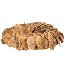 Artículo Corona de hongos de árbol, color natural, para decoración de puertas o paredes, 37 cm.