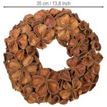 Artículo Corona de loto seco, corona decorativa para puerta, 35 cm