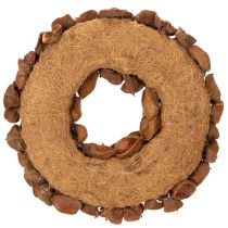 Artículo Corona de loto seco, corona decorativa para puerta, 35 cm