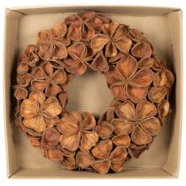 Artículo Corona de loto seco, corona decorativa para puerta, 35 cm