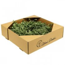 Artículo Corona navideña decorativa de flores secas verdes, corona para puerta, guirnalda de lino y hierbas festivas, diámetro 34 cm.