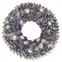 Corona de conchas, conchas naturales chippy moradas, anillo de conchas Ø25cm