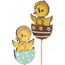 Decoración de Pascua pollito en huevo figura decorativa de madera en palo Pascua 7cm 12pcs