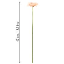 Artículo Flores artificiales de gerbera color albaricoque, 47 cm, 6 unidades