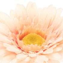 Artículo Flores artificiales de gerbera color albaricoque, 47 cm, 6 unidades