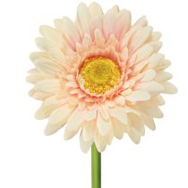 Artículo Flores artificiales Gerbera Albaricoque 47cm