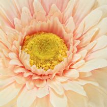 Artículo Flores artificiales Gerbera Albaricoque 47cm