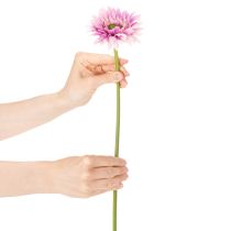 Artículo Flores artificiales de gerbera para jardín, color morado, 47 cm, 6 unidades