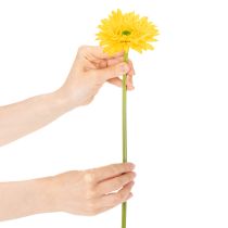 Artículo Flores artificiales de gerbera, amarillo brillante, flores de jardín, 47 cm, 6 unidades