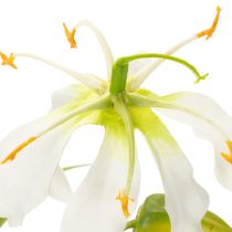 Artículo Flor artificial de gloriosa, blanca y amarilla, elegante rama florida para decoración, 80 cm, 3 piezas.