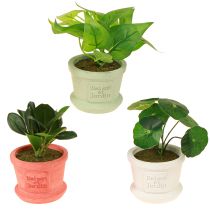 Artículo Plantas verdes artificiales mini plantas en maceta 15cm 3uds