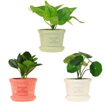 Artículo Plantas verdes artificiales mini plantas en maceta 15cm 3uds