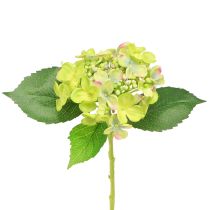 Artículo Hortensias Artificiales Flores Verdes Hojas L43cm 2uds