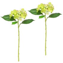 Artículo Hortensias Artificiales Flores Verdes Hojas L43cm 2uds