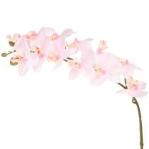 Artículo Orquídeas Artificiales Flores Artificiales Rosa Claro Tacto Real 58cm 2uds