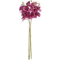 Artículo Orquídeas artificiales flores artificiales moradas como reales 56cm 3 piezas