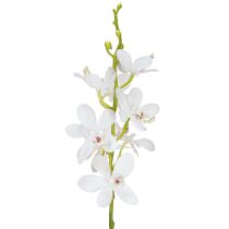 Artículo Orquídeas artificiales de flores blancas, diámetro 3,5-5 cm, largo 38 cm, 2 unidades