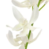 Artículo Rama de orquídea artificial con flores color blanco crema, 90 cm de largo, 2 unidades