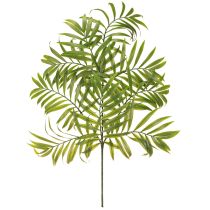 Artículo Hojas de palmera artificiales Plantas verdes artificiales 56cm 3uds