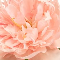 Artículo Peonías artificiales Paeonia rosa salmón L60cm 2 piezas