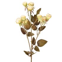 Artículo Rosas artificiales marchitas Drylook 9 pétalos crema 69cm