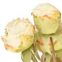 Artículo Rosas artificiales marchitas Drylook 9 pétalos crema 69cm