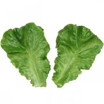 Lechuga decorativa Hojas de lechuga artificiales Réplica de comida de lechuga 16×11cm