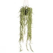 Artículo Planta colgante suculenta artificial en maceta negra 60 cm - Decoración interior duradera