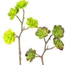 Artículo Suculentas artificiales con tallo verde morado surtidas 32cm 2uds