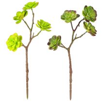 Artículo Suculentas artificiales con tallo verde morado surtidas 32cm 2uds
