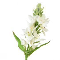 Artículo Flor artificial estrella de leche blanca 50cm