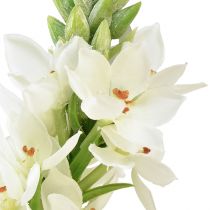 Artículo Flor Artificial Jardín Leche Estrella Flor Artificial Blanco 50cm