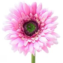 Artículo Flores artificiales Gerbera rosa 47cm