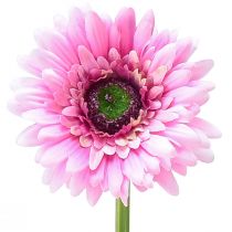 Flores artificiales Gerbera rosa 47cm