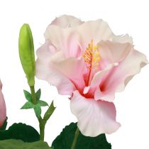 Artículo Flores Artificiales Hibisco Rosa 62cm