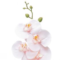 Artículo Orquídea Artificial Phalaenopsis Rosa Real Touch 83cm