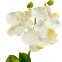 Artículo Orquideas artificiales Flor artificial orquidea blanca 20cm