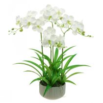 Artículo Orquideas artificiales flores artificiales en maceta blanca 60cm