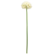 Artículo Cebolla ornamental artificial Allium crema blanca Ø18cm L90cm